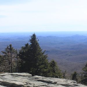 Meet your Posher, Isaiah